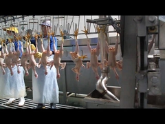 একটি আকৃতির পিকচার