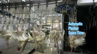 স্বয়ংক্রিয় প্লাকার