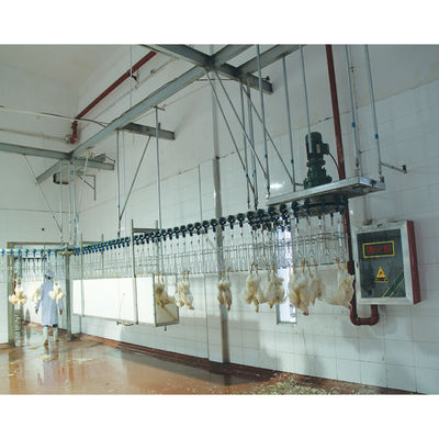 800bph - 2000bph মুরগির স্বয়ংক্রিয় বধ মেশিন ব্রয়লার প্রক্রিয়াকরণ সরঞ্জাম