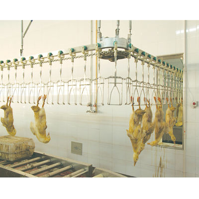 500BPH - 12000BPH ধারণক্ষমতা হালাল হাঁসের হত্যার সরঞ্জাম কাস্টমাইজযোগ্য