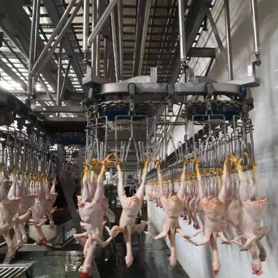 220V / 380V স্বয়ংক্রিয় বধ মেশিন পোল্ট্রি বধ প্রক্রিয়াকরণ লাইন