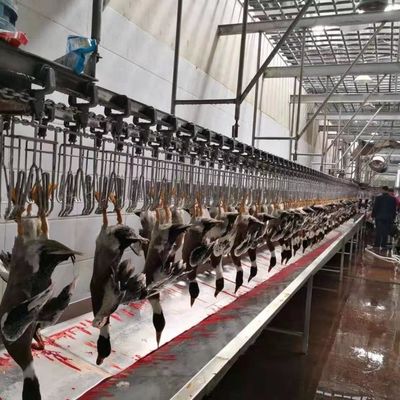 সিই সার্টিফাইড পোল্ট্রি বধ সরঞ্জাম হাঁস পোল্ট্রি বধ লাইন 600 কেজি
