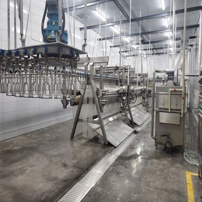 220V / 380V হালাল পাখি হত্যা সরঞ্জাম 500 কেজি মুরগির হত্যার জন্য