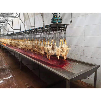 3000BPH পাখি হত্যা সরঞ্জাম 220V / 110V পাখি পালক অপসারণ মেশিন