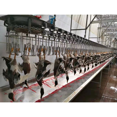 হাই ক্যাপাসিটি পোল্ট্রি বধ লাইন হালাল চিকেন বধ মেশিন 1000BPH