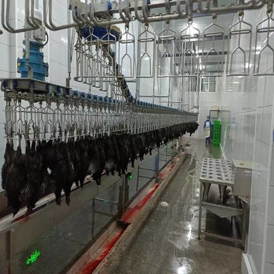 1500 কেজি পাখি হত্যা সরঞ্জাম এস এস 304 পাখি মাংসের প্রক্রিয়াকরণ সরঞ্জাম