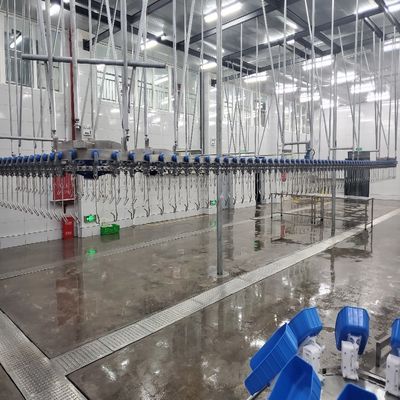 হালাল পোল্ট্রি অটোমেটিক স্ল্যাটারিং মেশিন 300BPH - 10000BPH চিকেন মাশরুম মেশিন