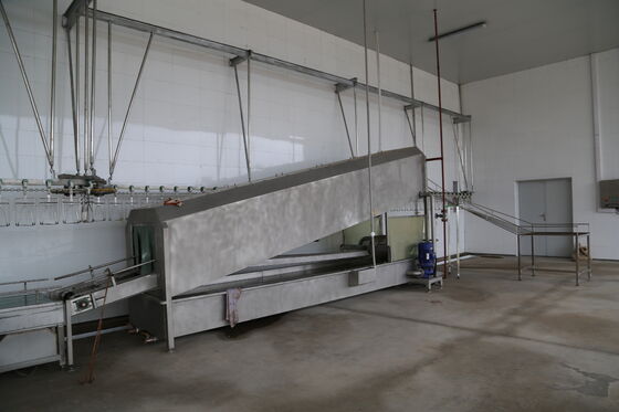 Automatic Chicken Slaughter Poultry Cage Washing Machine for Broiler and Crate Washers 380V 1 Year Warranty