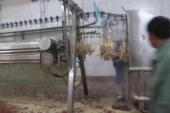 চিকেন পিউকার মেশিন ছোট পোল্ট্রি মুরগি খামার পোল্ট্রি (পোলস) মাংস প্রক্রিয়াকরণ চিকেন প্রক্রিয়াকরণ সরঞ্জাম